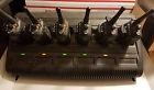 Wpln4211a Xpr 6650 Motorola Lot Of Wpln4211a Xpr 6650 Motorola Lot Of