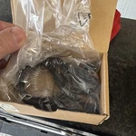 Motorola Wire Surveillance Headset Kit RLN5882A Black. Fixed Price $39.00.